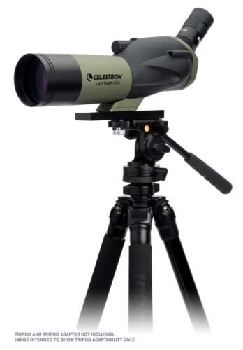 Celestron 52248 Ultima Longue-vue 65 mm 45°, verte