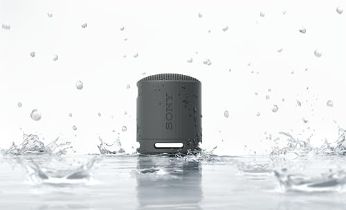 Sony SRS-XB100 - Enceinte sans Fil Bluetooth, Portable, légère, compacte, Durable, IP67, étanche à l'eau et à la poussière, Batterie 16H, dragonne Polyvalente, appels Mains Libres, Noir