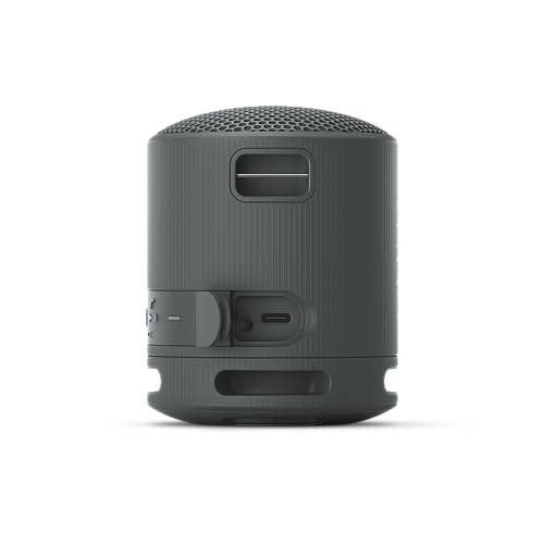 Sony SRS-XB100 - Enceinte sans Fil Bluetooth, Portable, légère, compacte, Durable, IP67, étanche à l'eau et à la poussière, Batterie 16H, dragonne Polyvalente, appels Mains Libres, Noir