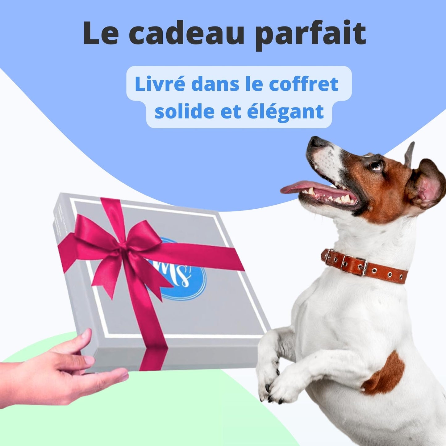 Harnais et Laisse pour Chien Chiot Chat. Harnai Réglable Original Arnet Anti Traction Coffret Cadeau pour Les Chiens de Petite Taille comme Bichon Léger Souple Solide (S, Orange) Poids Idéal 3-7,5kg