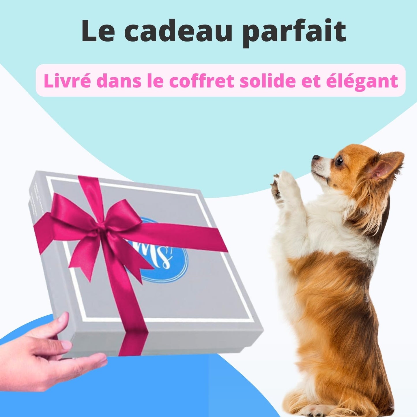 Harnais et Laisse pour Chien Chiot Chat Harnai Réglable Original Arnet Anti Traction Coffret Cadeau pour Chiens de Très Petite Taille comme Chihuahua Poids Idéal 1,2-3kg (XS Noir, Lot de Promenade)