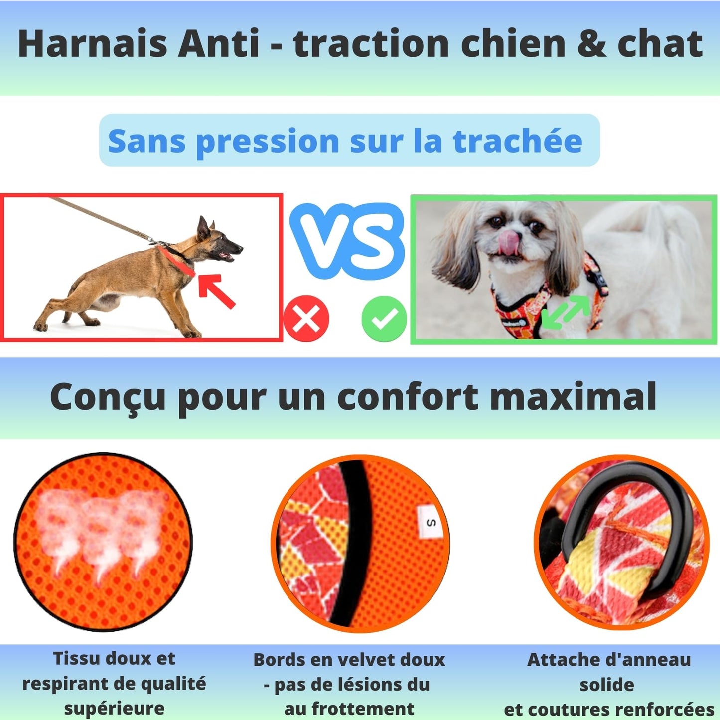 Harnais et Laisse pour Chien Chiot Chat. Harnai Réglable Original Arnet Anti Traction Coffret Cadeau pour Les Chiens de Petite Taille comme Bichon Léger Souple Solide (S, Orange) Poids Idéal 3-7,5kg