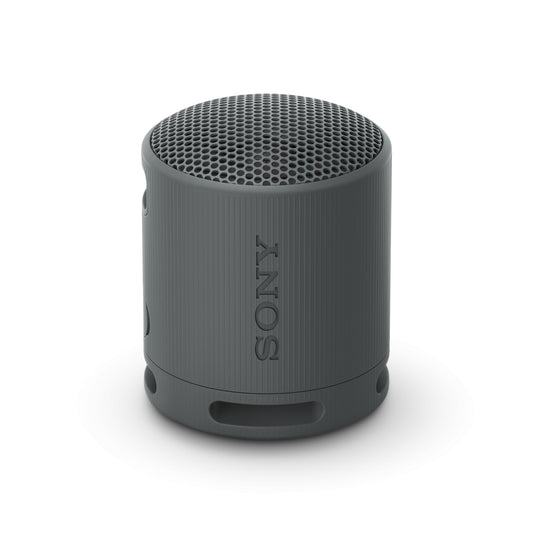 Sony SRS-XB100 - Enceinte sans Fil Bluetooth, Portable, légère, compacte, Durable, IP67, étanche à l'eau et à la poussière, Batterie 16H, dragonne Polyvalente, appels Mains Libres, Noir