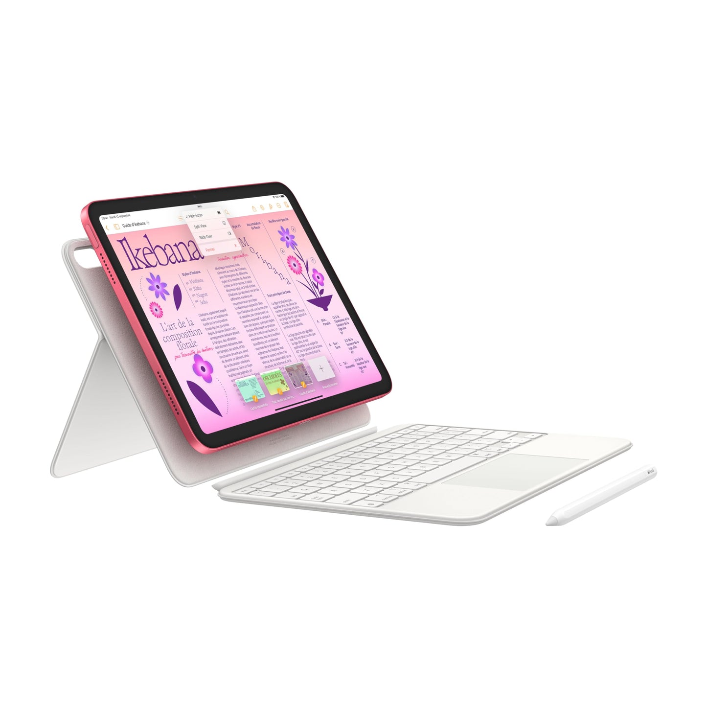 Apple iPad 10,9 Pouces (Wi-FI, 64 Go) - Argent (10e génération)