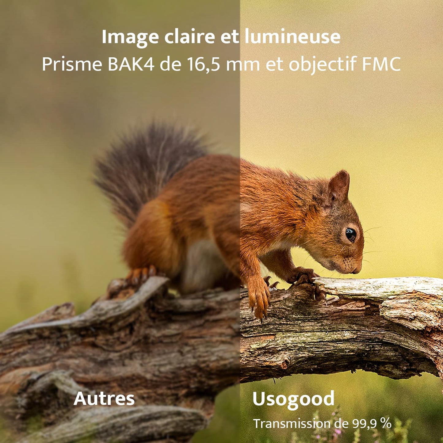 Usogood Jumelles compactes HD 10 x 42 pour Adultes, prismes BAK4, objectifs FMC, Jumelles étanches pour l'observation des Oiseaux, la randonnée, l'observation de la Faune avec Adaptateur téléphonique