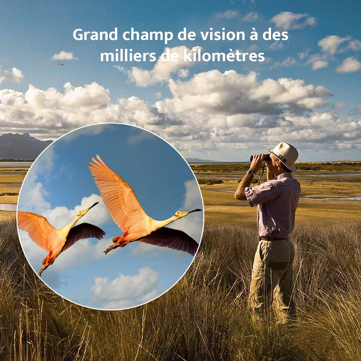 Usogood Jumelles compactes HD 10 x 42 pour Adultes, prismes BAK4, objectifs FMC, Jumelles étanches pour l'observation des Oiseaux, la randonnée, l'observation de la Faune avec Adaptateur téléphonique